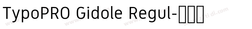 TypoPRO Gidole Regul字体转换
